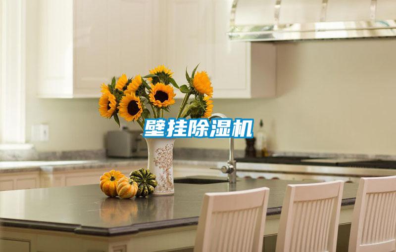 壁掛91视频链接下载