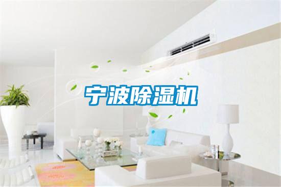 寧波91视频链接下载