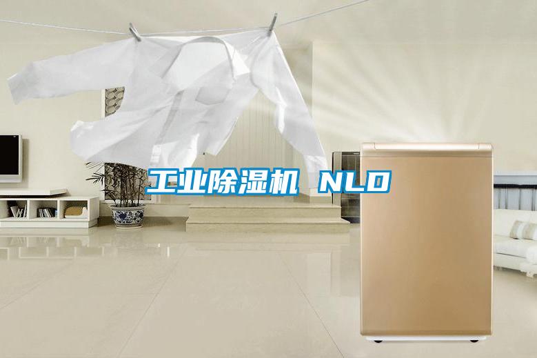 工業91视频链接下载 NLD