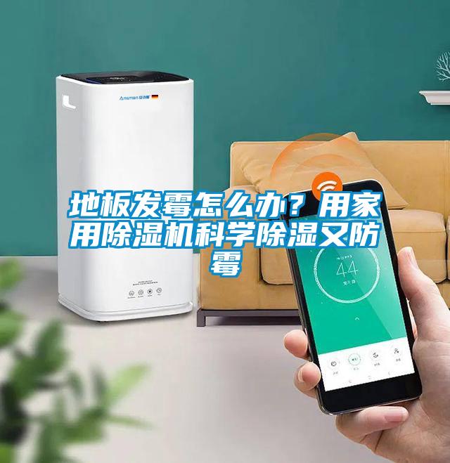 地板發黴怎麽辦？用家用91视频链接下载科學除濕又防黴