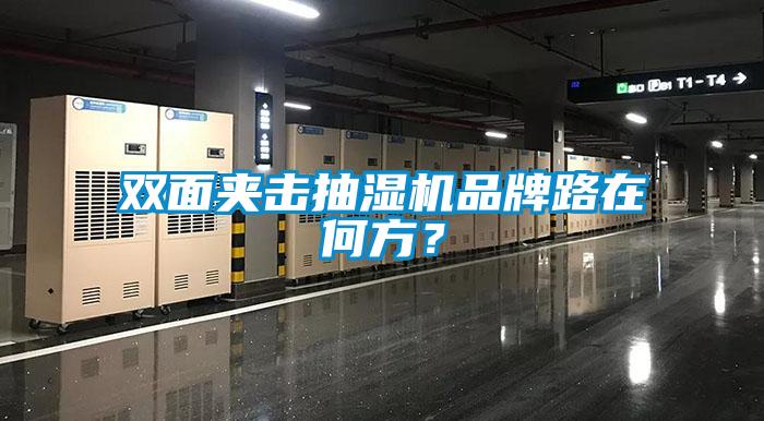 雙麵夾擊抽濕機品牌路在何方？