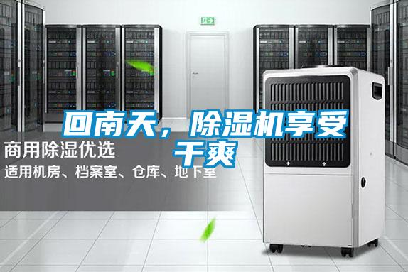 回南天，91视频链接下载享受幹爽