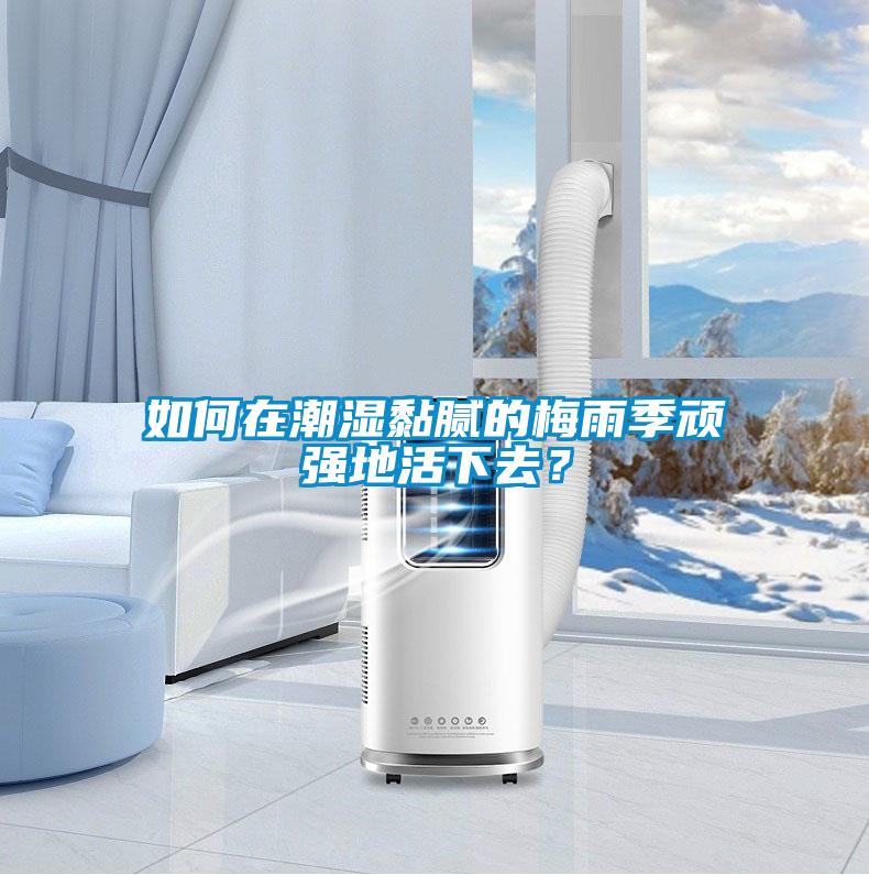 如何在潮濕黏膩的梅雨季頑強地活下去？