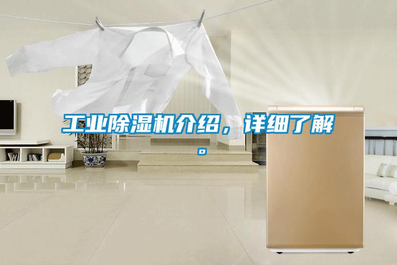 工業91视频链接下载介紹，詳細了解。