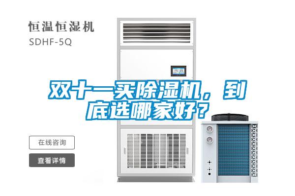 雙十一買91视频链接下载，到底選哪家好？