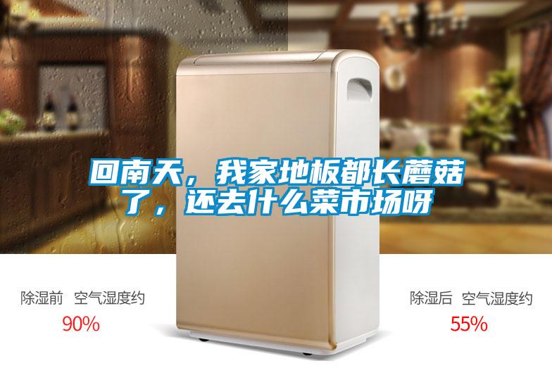 回南天，我家地板都長蘑菇了，還去什麽菜市場呀