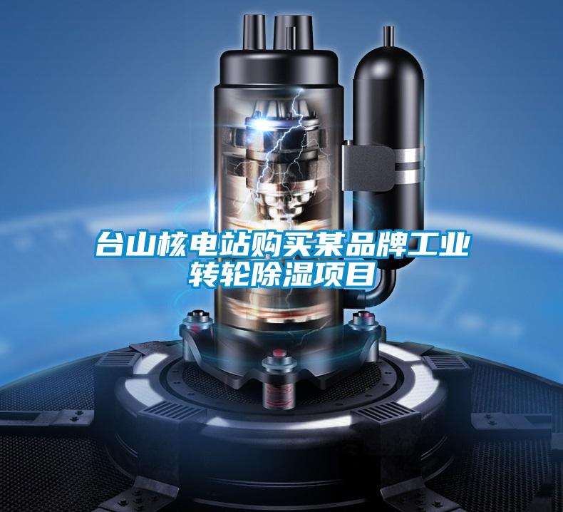 台山核電站購買某品牌工業轉輪除濕項目