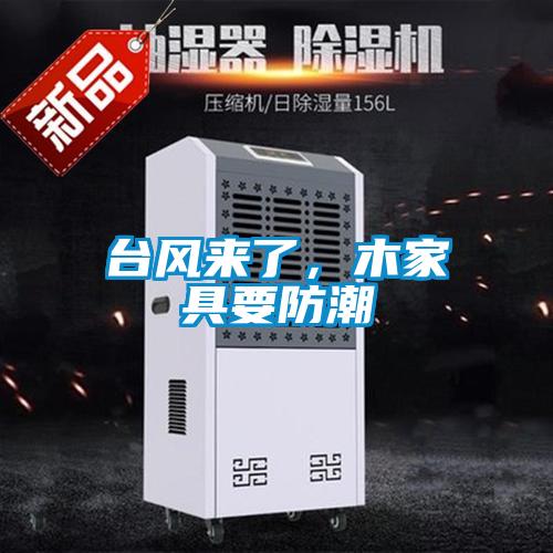 台風來了，木家具要防潮
