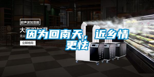 因為回南天，近鄉情更怯