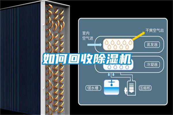 如何回收91视频链接下载