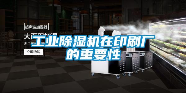 工業91视频链接下载在印刷廠的重要性