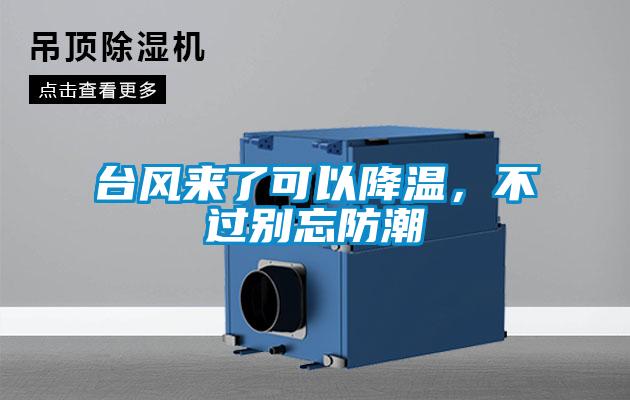 台風來了可以降溫，不過別忘防潮