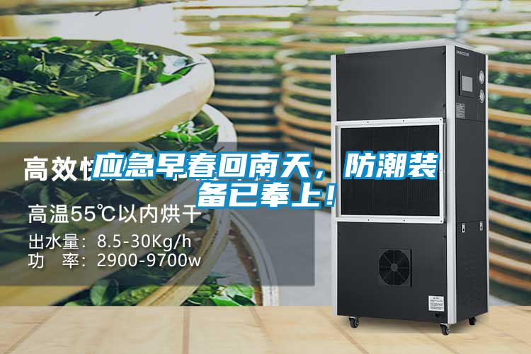 應急早春回南天，防潮裝備已奉上！