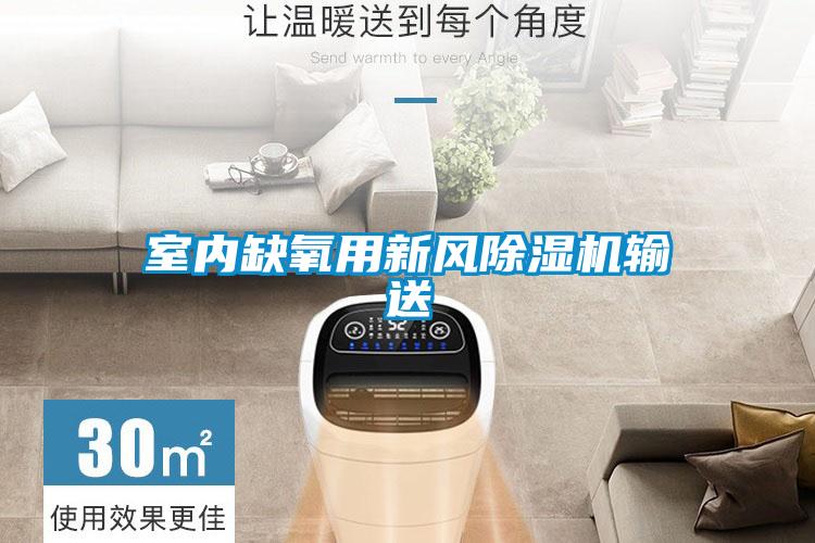 室內缺氧用新風91视频链接下载輸送