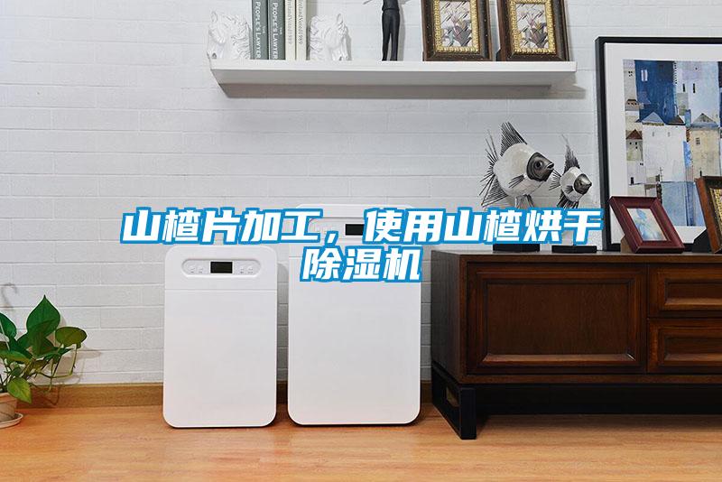 山楂片加工，使用山楂烘幹91视频链接下载