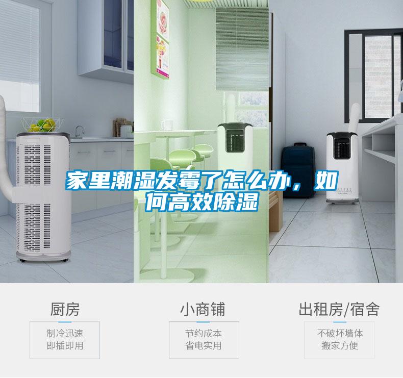 家裏潮濕發黴了怎麽辦，如何高效除濕