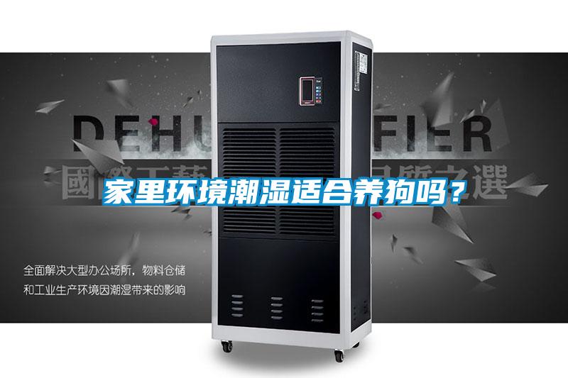 家裏環境潮濕適合養狗嗎？