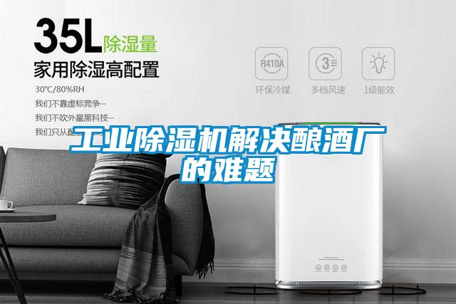 工業91视频链接下载解決釀酒廠的難題