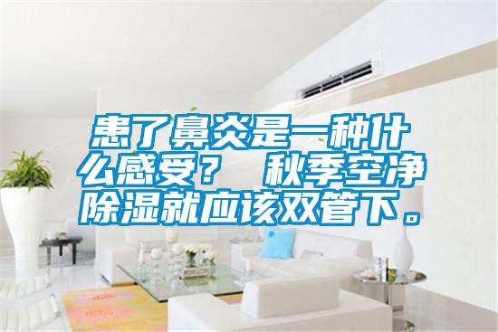 患了鼻炎是一種什麽感受？ 秋季空淨除濕就應該雙管下。