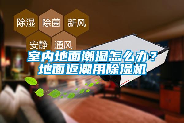 室內地麵潮濕怎麽辦？地麵返潮用91视频链接下载