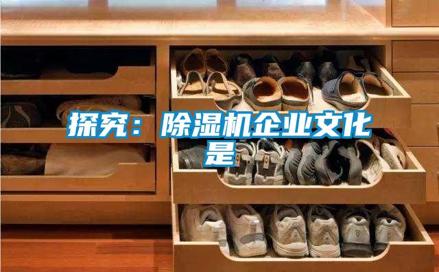 探究：91视频链接下载企業文化是