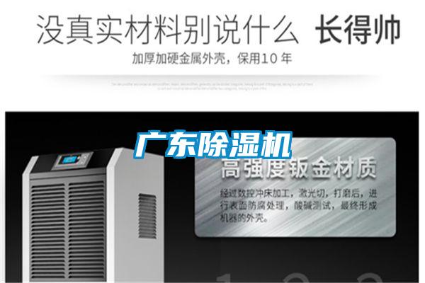 廣東91视频链接下载