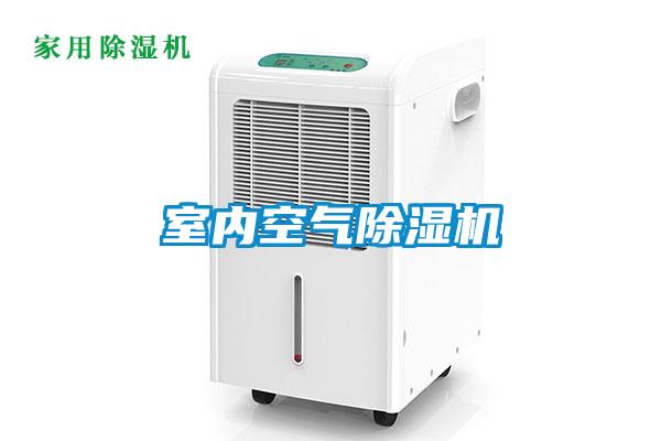 室內空氣91视频链接下载