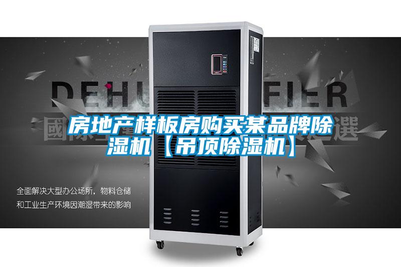 房地產樣板房購買某品牌91视频链接下载【吊頂91视频链接下载】