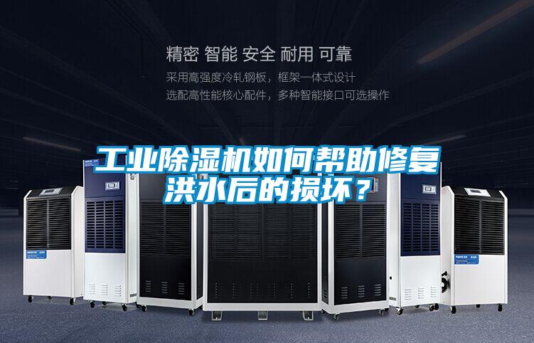 工業91视频链接下载如何幫助修複洪水後的損壞？