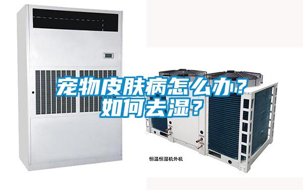 寵物皮膚病怎麽辦？如何去濕？
