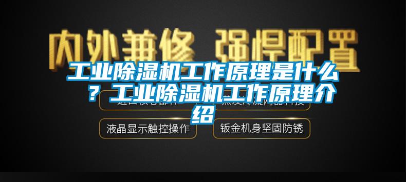 工業91视频链接下载工作原理是什麽 ？工業91视频链接下载工作原理介紹