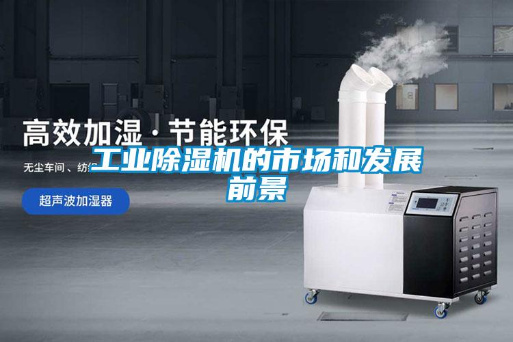 工業91视频链接下载的市場和發展前景