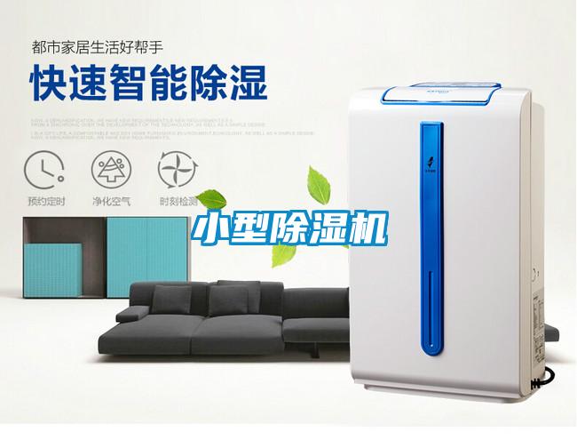 小型91视频链接下载