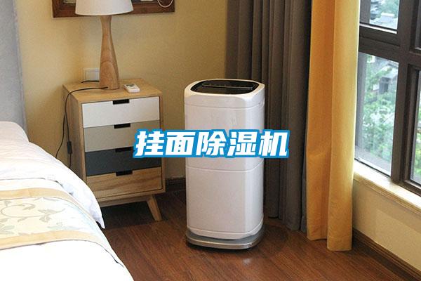 掛麵91视频链接下载