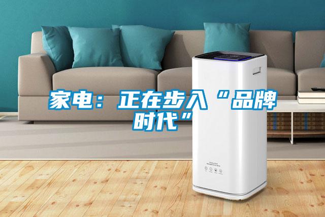 家電：正在步入“品牌時代”