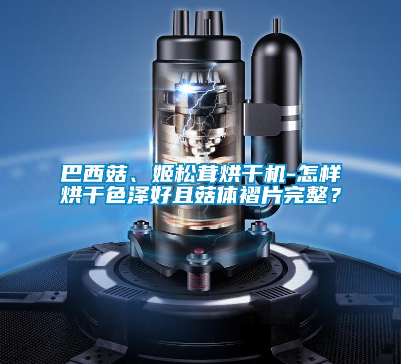 巴西菇、姬鬆茸烘幹機-怎樣烘幹色澤好且菇體褶片完整？