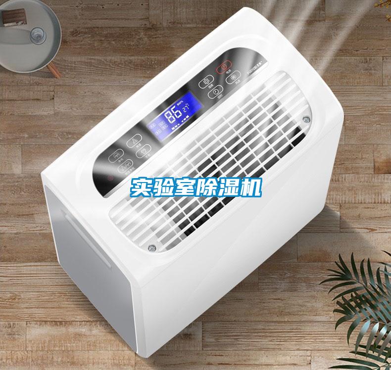 實驗室91视频链接下载