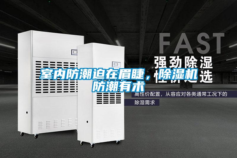 室內防潮迫在眉睫，91视频链接下载防潮有術