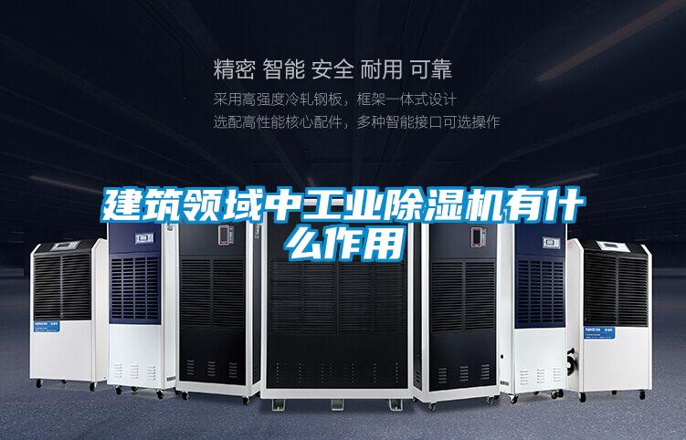 建築領域中工業91视频链接下载有什麽作用