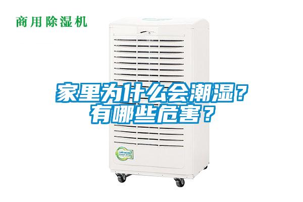 家裏為什麽會潮濕？有哪些危害？