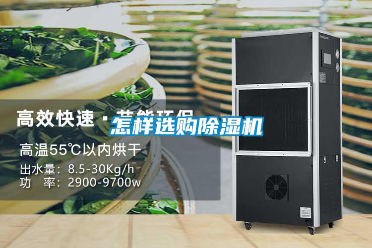 怎樣選購91视频链接下载