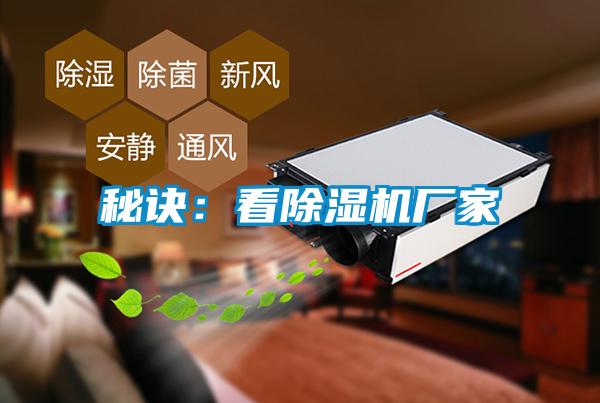 秘訣：看91视频链接下载廠家