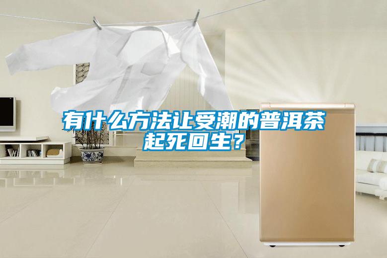 有什麽方法讓受潮的普洱茶起死回生？