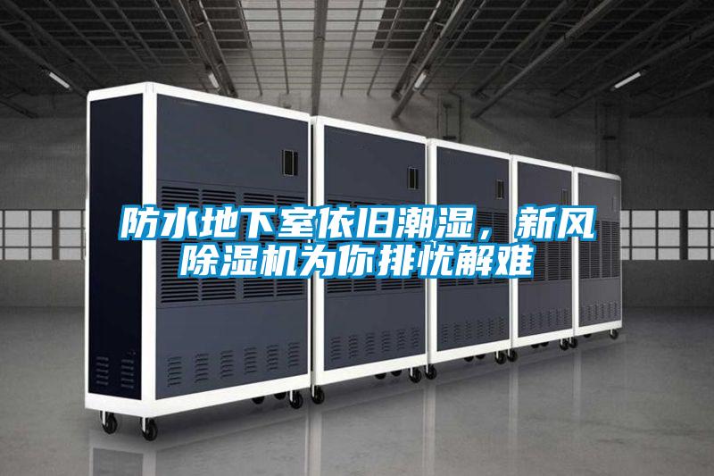 防水地下室依舊潮濕，新風91视频链接下载為你排憂解難