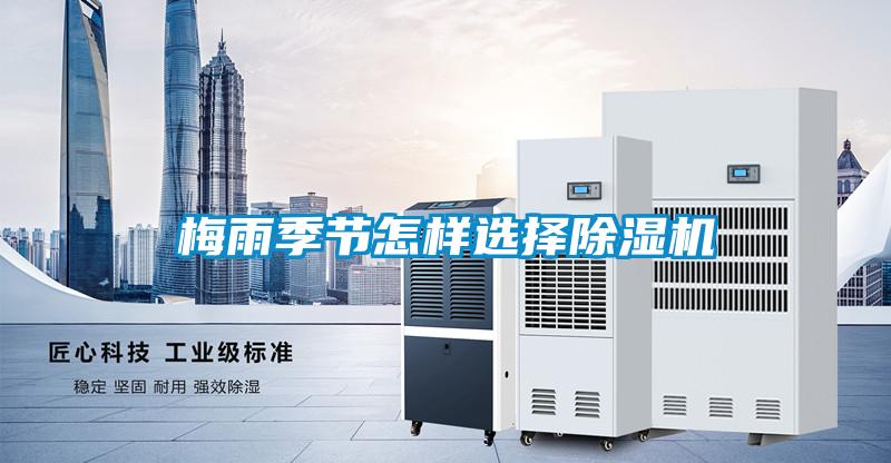 梅雨季節怎樣選擇91视频链接下载