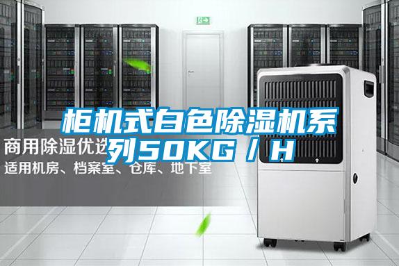 櫃機式白色91视频链接下载係列50KG／H