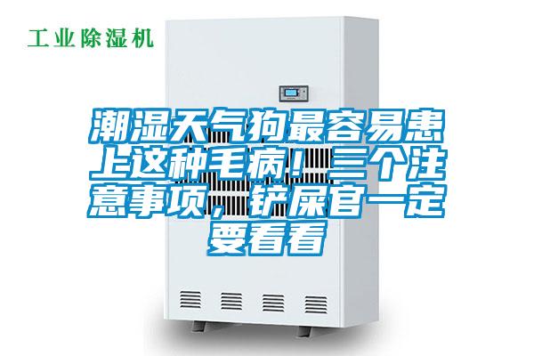 潮濕天氣狗最容易患上這種毛病！三個注意事項，鏟屎官一定要看看