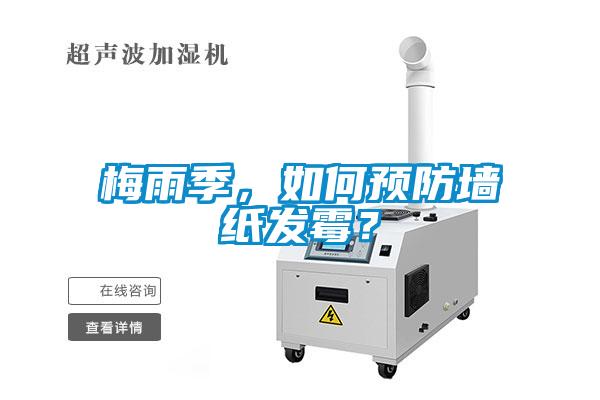 梅雨季，如何預防牆紙發黴？