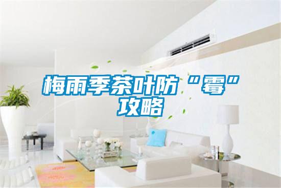 梅雨季茶葉防“黴”攻略