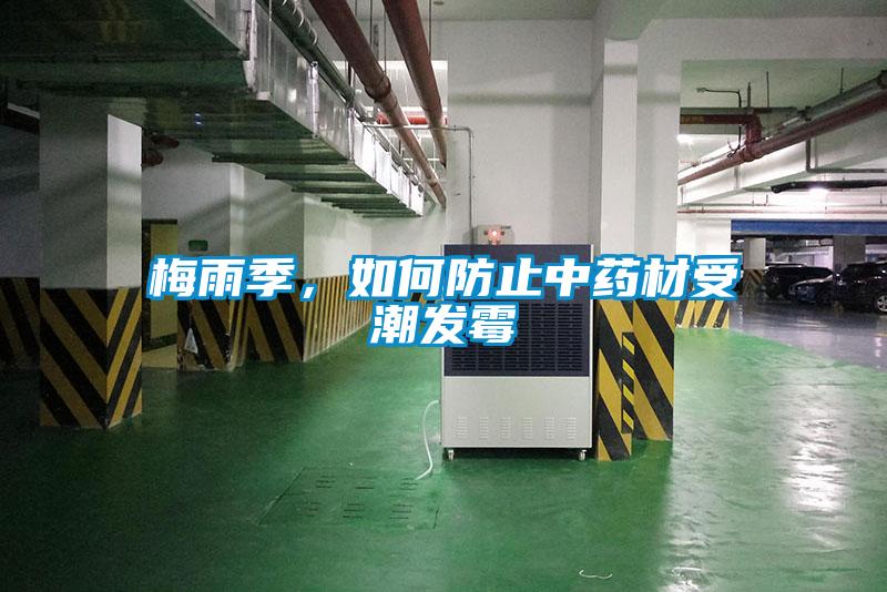 梅雨季，如何防止中藥材受潮發黴